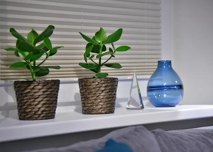 Apartment Sjesta River Blisko Centrum, Prywatny Parking, Dodatkowy Bezplatny Parking W Centrum Miasta